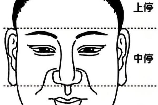 天庭宽太低面相：揭秘命运多舛的神秘面相之谜