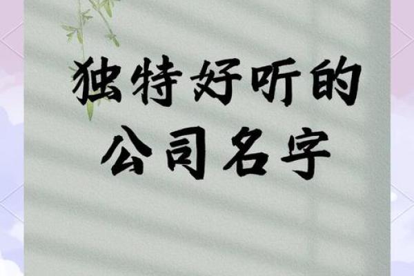 萱屹：如何将这个独特名字用于公司命名提升品牌形象