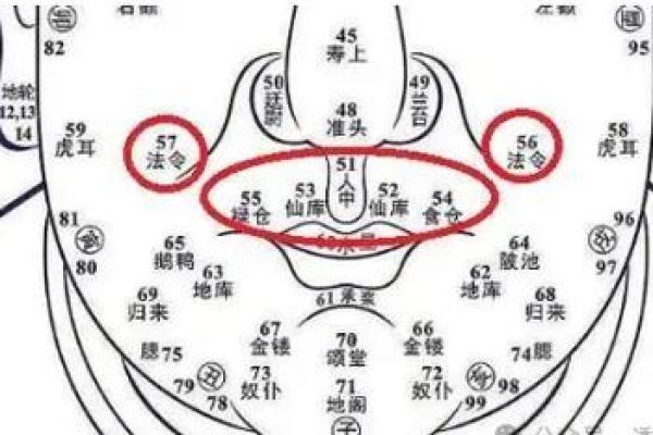 脑门宽广财运旺：揭秘面相中的财富密码