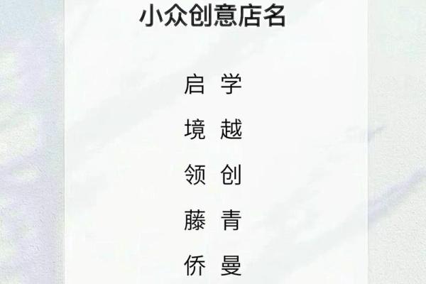 涂科公司起名策略与创意探索
