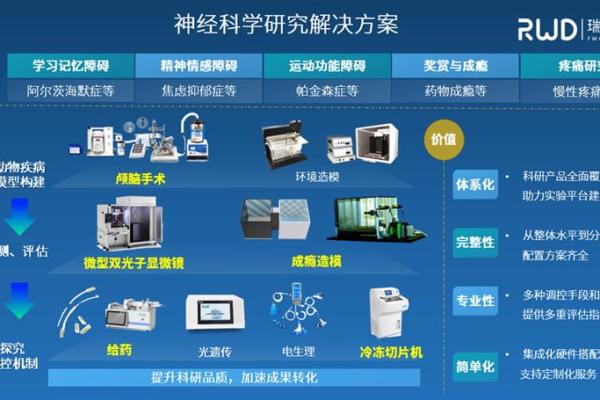 科技驱动品牌 企业命名的全新思路