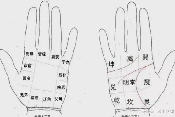 火性手相揭秘：你的命运如何？