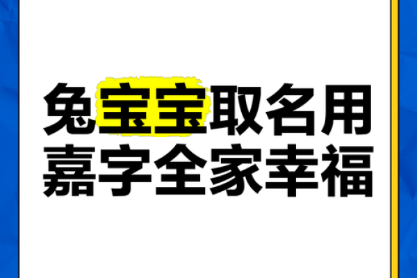 嘉字在男孩名字中的独特魅力与寓意解析