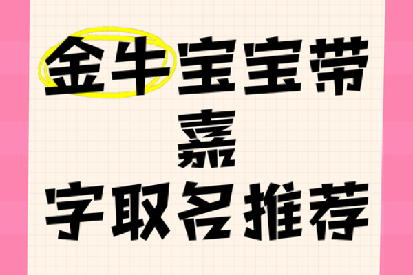 嘉字在男孩名字中的独特魅力与寓意解析