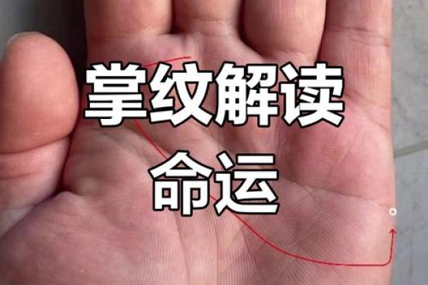手相揭秘：阴德之力，财运亨通的秘密！