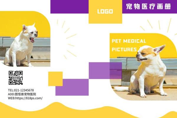 医疗公司命名创意指南：打造专业且易于记忆的品牌名称