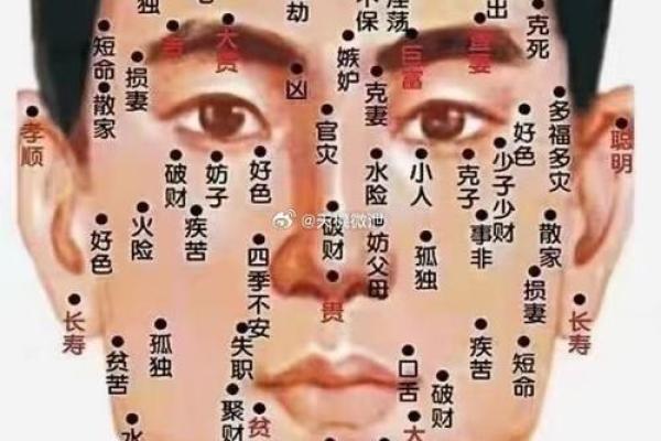 面相奇观：瞳孔藏黑痣，命运何其神奇？