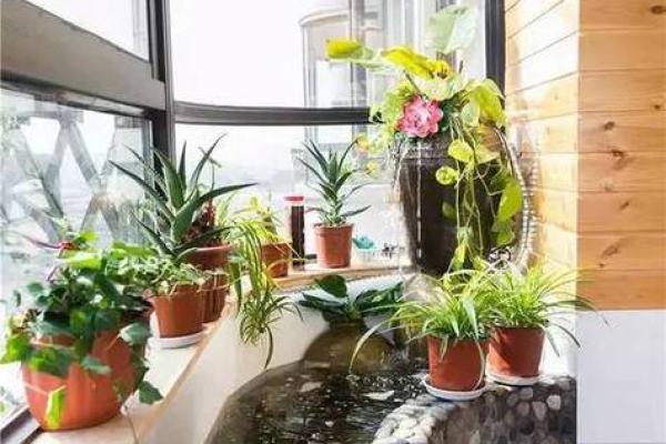 家居风水大师教你养鱼，打造吉祥生活空间！