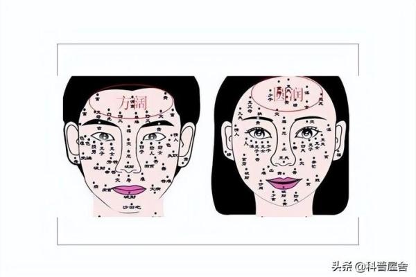 面相揭秘：五官之间蕴藏的命理奥秘