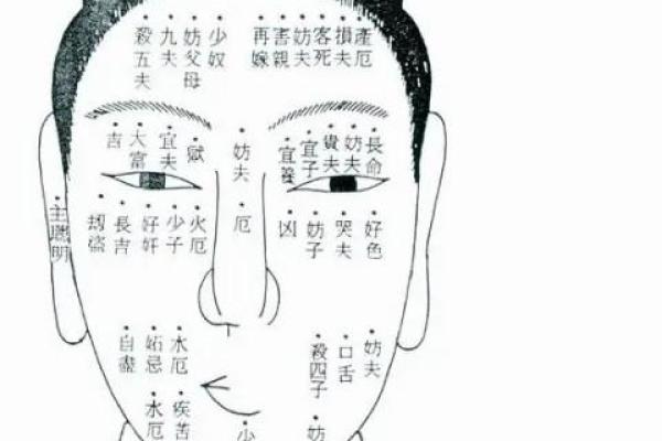 面相解析：鼻子的秘密与命运相连