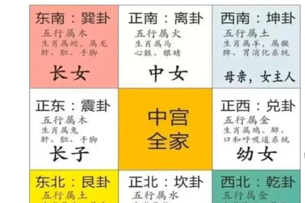 醒五行五行属性解读