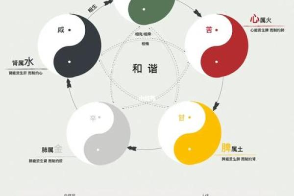 醒五行五行属性解读