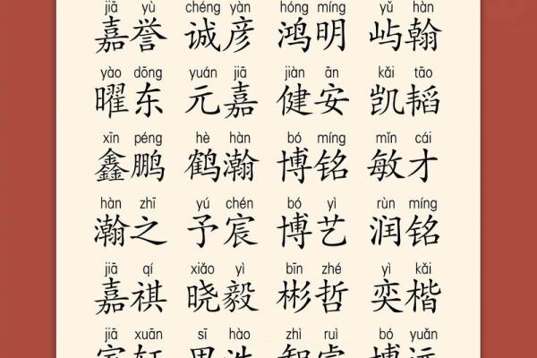 名字的力量：如何为宝宝起一个富有寓意的名字＿