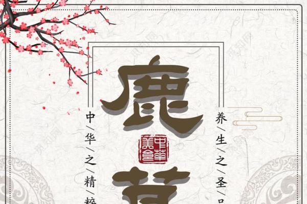 中草药保健公司命名创意与技巧解析