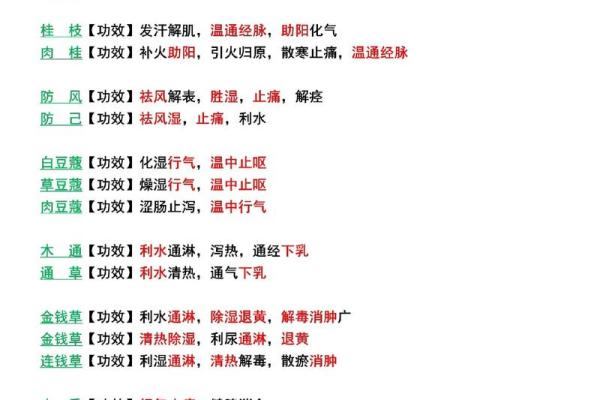 中草药保健公司命名创意与技巧解析