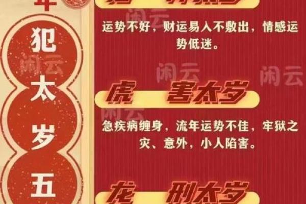 红枣颜面，富贵福泽的相学秘语