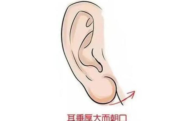 耳垂丰满预示富贵，面相奥秘揭秘