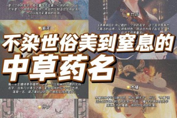 冷若冰心：揭秘名字背后的神秘寓意