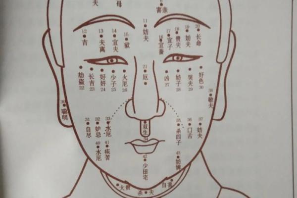 面相解码：男人伏面之神秘面相解析