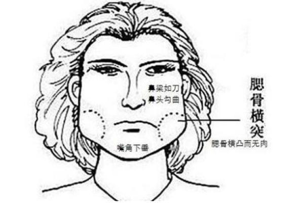 面相解析：颚角宽度揭示的性格秘密
