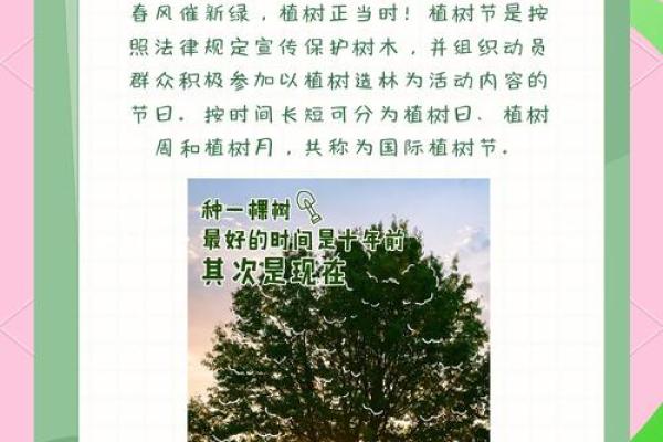林业绿化公司命名技巧与创意灵感分享
