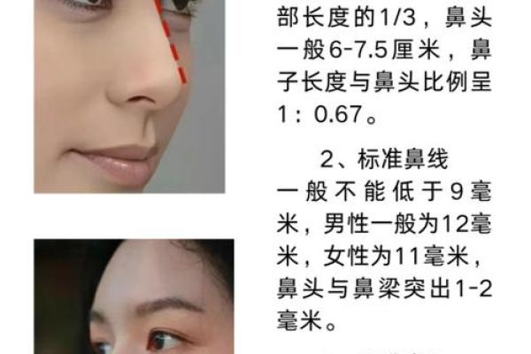 鼻梁凸起的面相解析：预示着怎样的命运？
