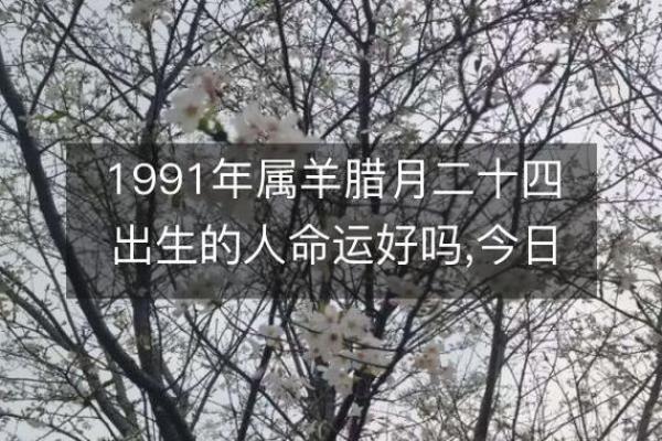 根据生辰八字为羊宝宝选个吉利名字