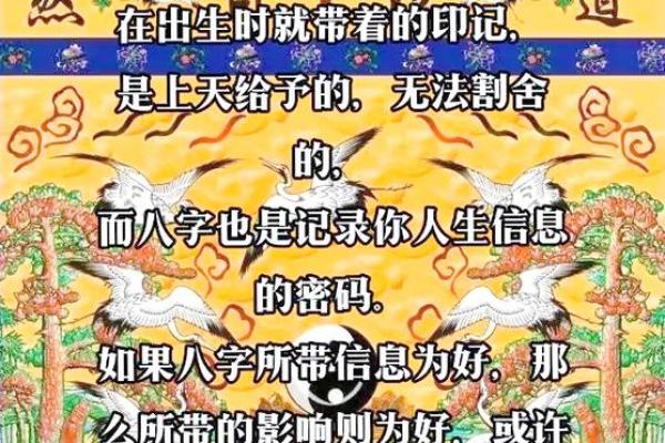 永康生辰八字中的命运密码