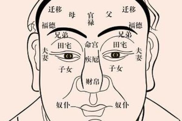 胡须彰显命运：揭秘胡须位置与面相的奥秘
