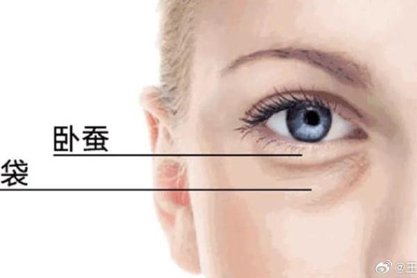 面相解密：命运之窗的微妙启示