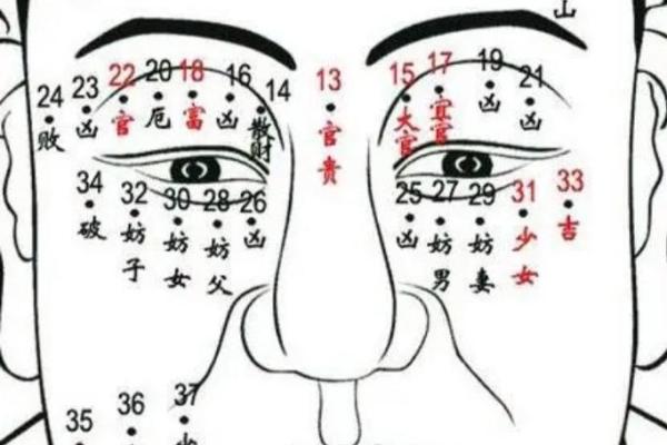 眼角微斜，命运多舛：揭秘面相中的下斜眼之谜