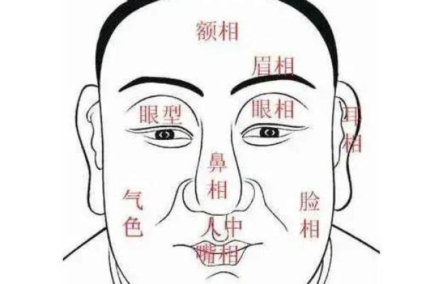 中年发财运旺的面相揭秘