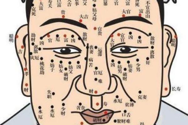 眉眼如画，眉不见其形？揭秘没眉毛面相的独特魅力
