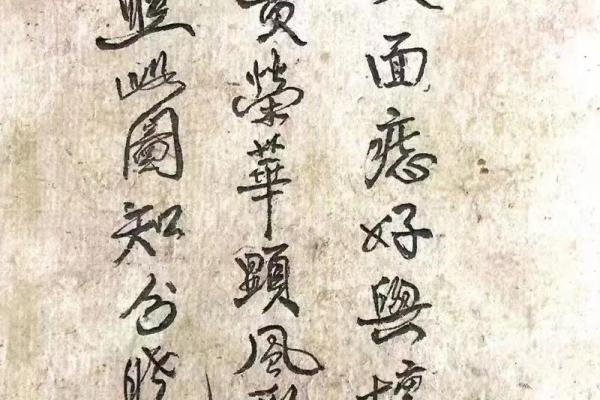 眉眼如画，眉不见其形？揭秘没眉毛面相的独特魅力