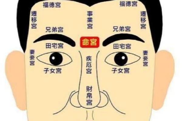 面部毛发与面相揭秘：毛发浓密透露的财运与性格秘密