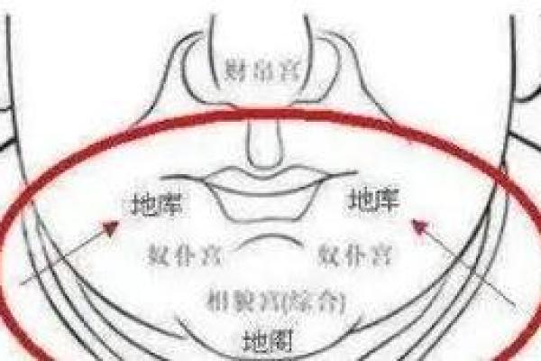 面部毛发与面相揭秘：毛发浓密透露的财运与性格秘密