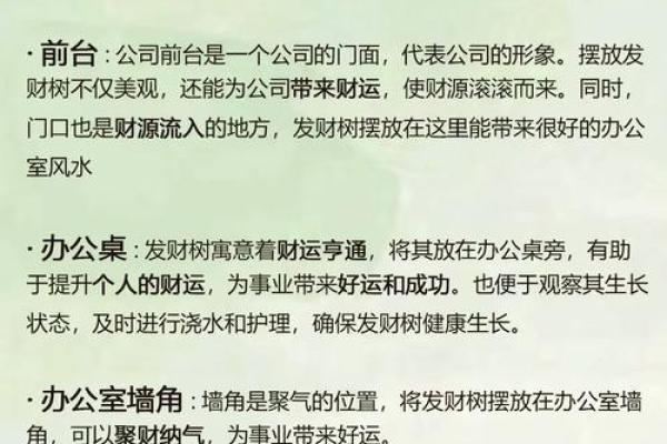 通道风水布局大揭秘：办公室财运亨通的秘诀