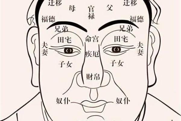 小鼻梁面相解析：揭秘神秘魅力之所在
