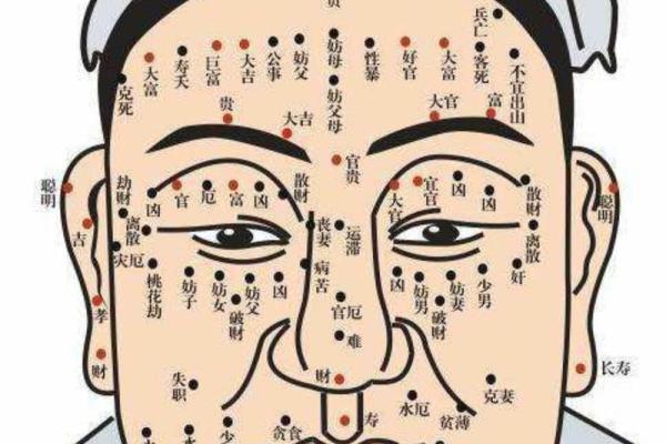小鼻梁面相解析：揭秘神秘魅力之所在
