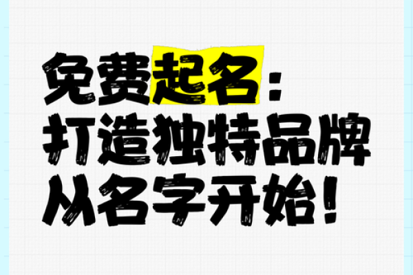 保定市优质起名公司为您打造独特姓名