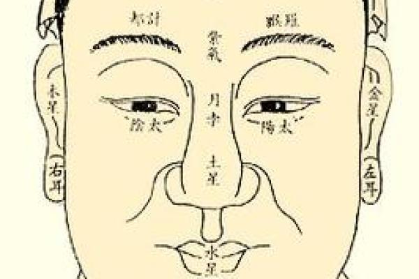 额头凹凸面相解析：揭示命运起伏的秘密