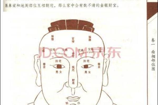 面相三星图解：揭示命运之门的秘密