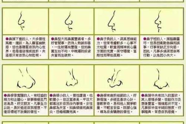 面相财运解析：揭秘面相中隐藏的富贵秘密