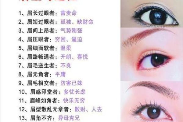 眉宇间藏富贵，面相解析挂眉之美