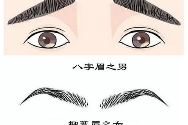 眉宇间藏富贵，面相解析挂眉之美
