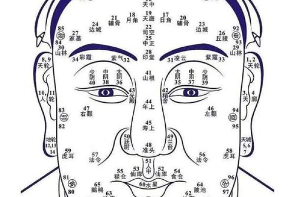 耳垂连腮面相解析：揭秘命运与性格的秘密联系