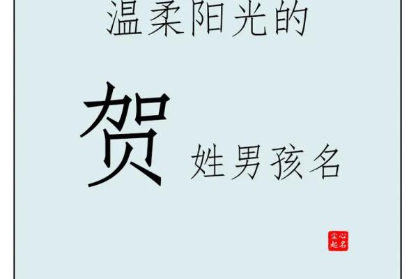 贺姓宝宝起名推荐：选一个既有寓意又好听的名字