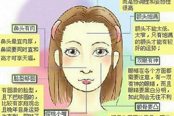 面相解析：揭秘下颌大背后的秘密，运势惊人！