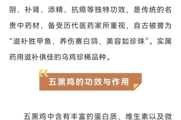 如何为养殖公司选择一个吸引人的名字