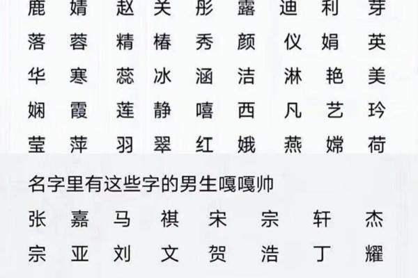 字里行间：探寻名字的独特魅力